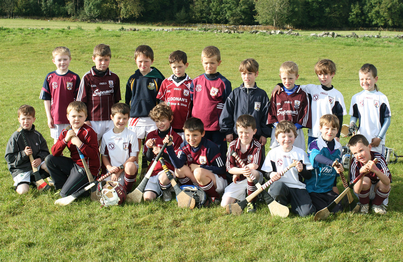 Sean McGovern School of Hurling 2012 Slide background